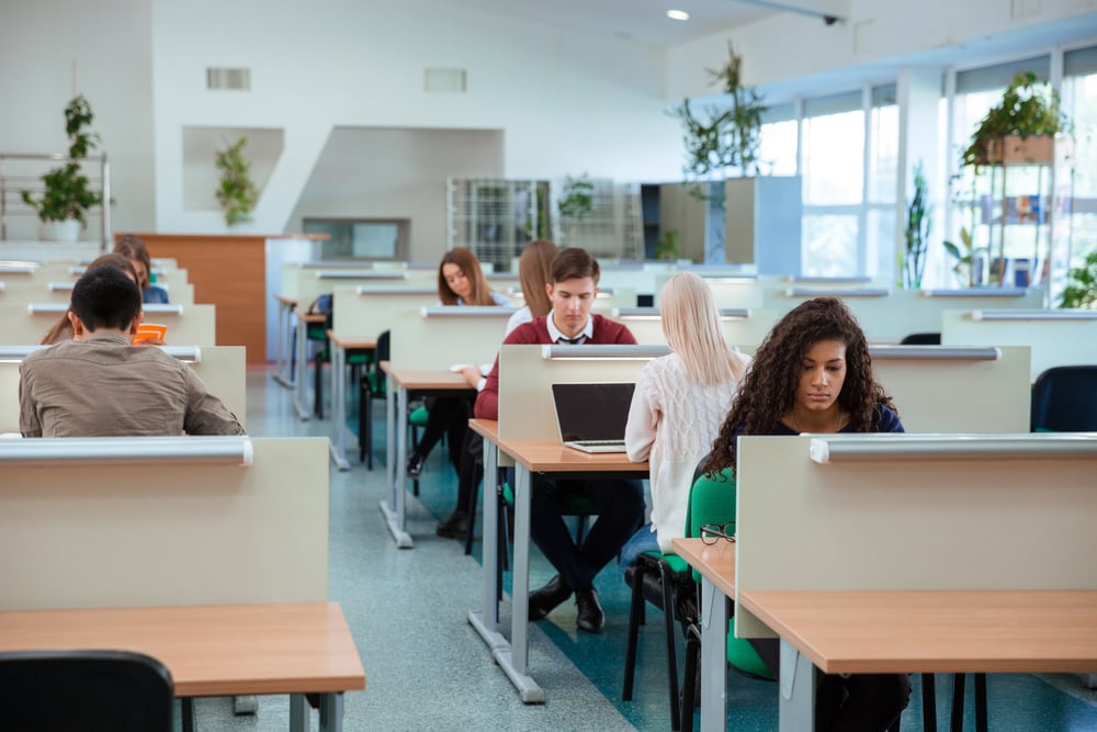 Portrait of a students studying in library