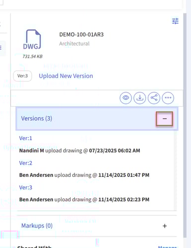 Details pain with version expanded